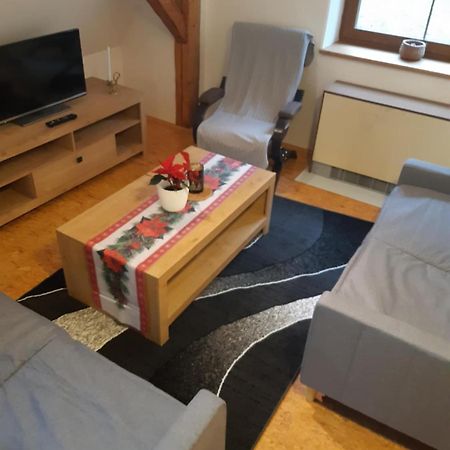 רוקיטניצה נאד איז'רו Apartma Doubek מראה חיצוני תמונה