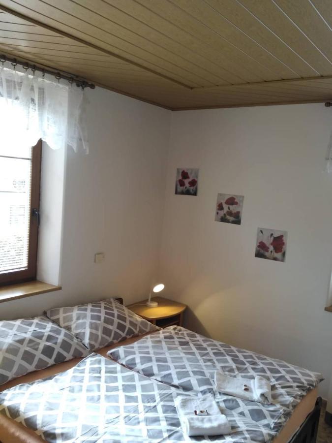 רוקיטניצה נאד איז'רו Apartma Doubek מראה חיצוני תמונה
