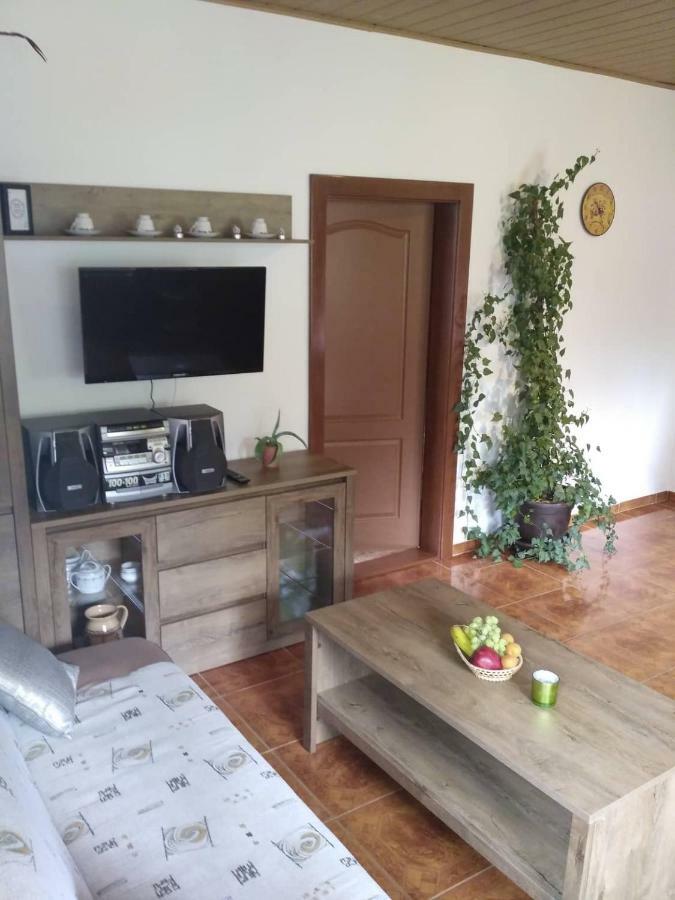 רוקיטניצה נאד איז'רו Apartma Doubek מראה חיצוני תמונה