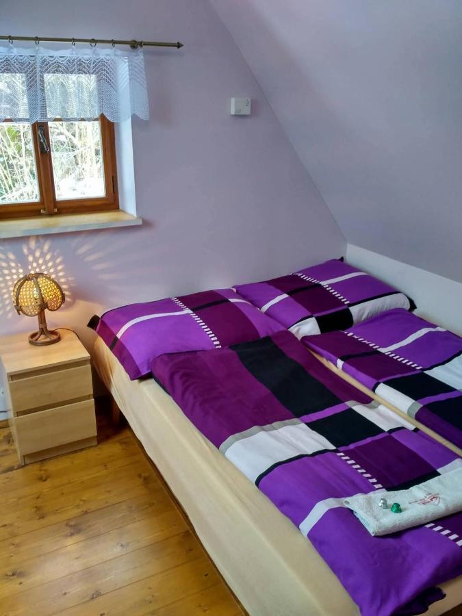 רוקיטניצה נאד איז'רו Apartma Doubek מראה חיצוני תמונה